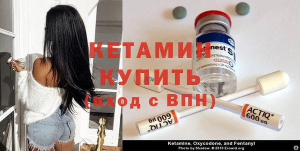 крисы Сатка