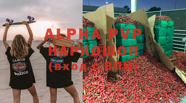 крисы Сатка