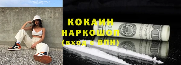 крисы Сатка