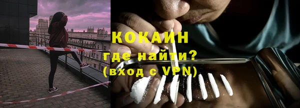 крисы Сатка