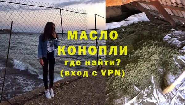 крисы Сатка