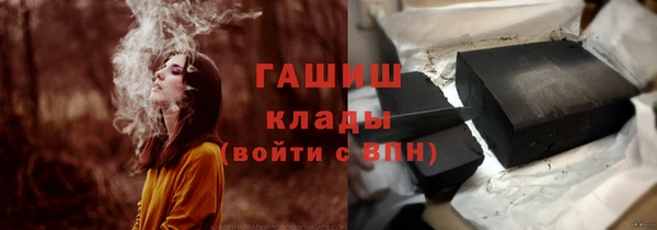 крисы Сатка