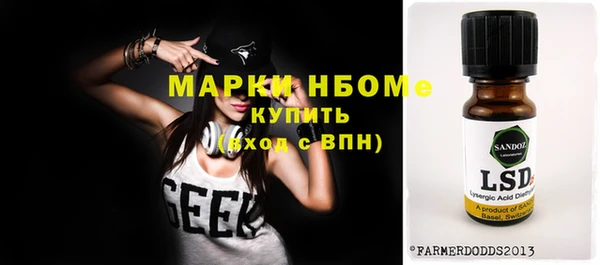 крисы Сатка