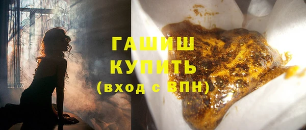 крисы Сатка