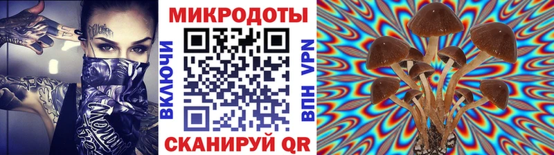 Галлюциногенные грибы прущие грибы Купить Шумиха
